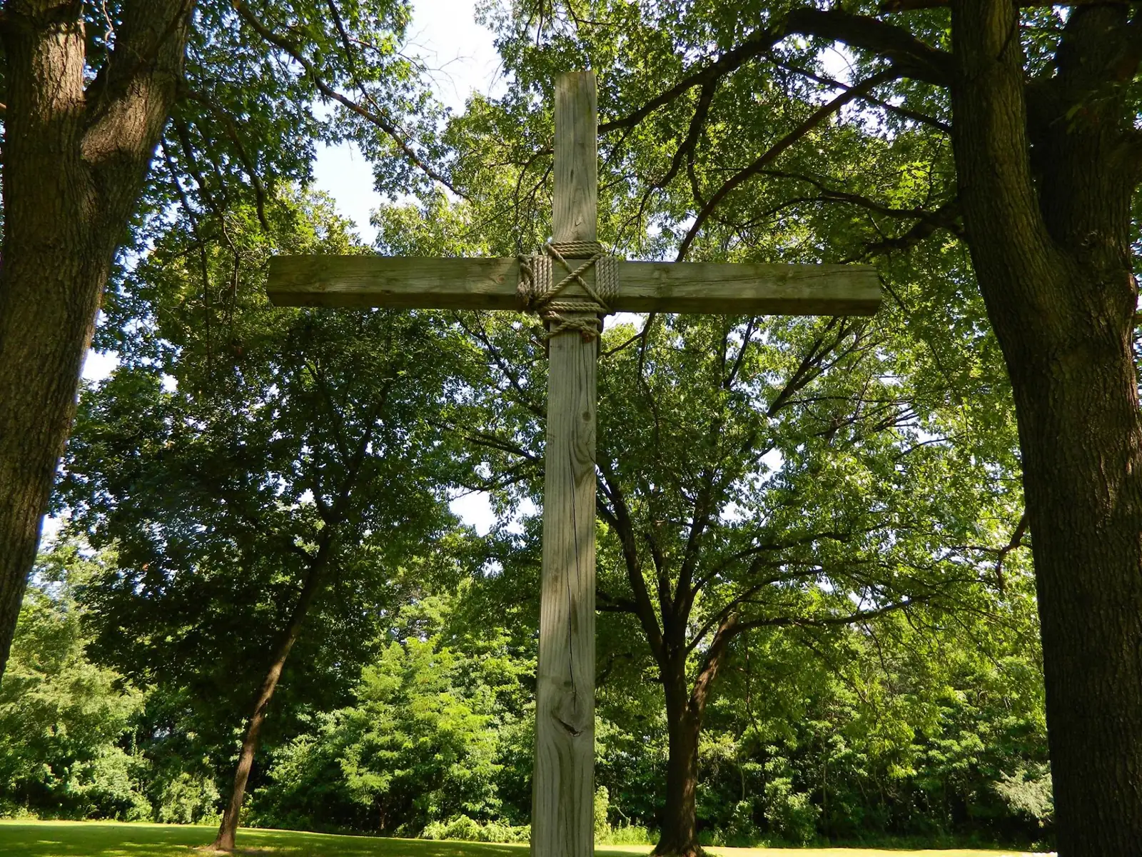 A tall timber cross bound with rope, standing among oak trees.